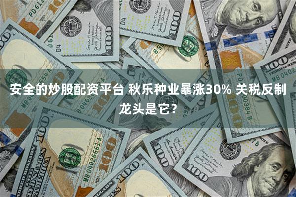 安全的炒股配资平台 秋乐种业暴涨30% 关税反制龙头是它？
