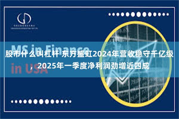 股市什么叫杠杆 东方盛虹2024年营收稳守千亿级，2025年一季度净利润劲增近四成