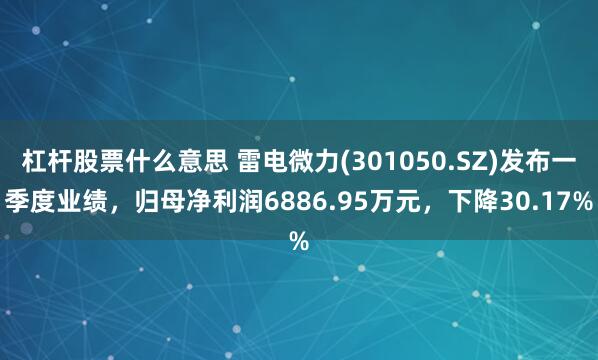杠杆股票什么意思 雷电微力(301050.SZ)发布一季度业绩，归母净利润6886.95万元，下降30.17%