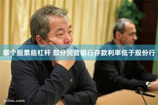 哪个股票能杠杆 部分民营银行存款利率低于股份行