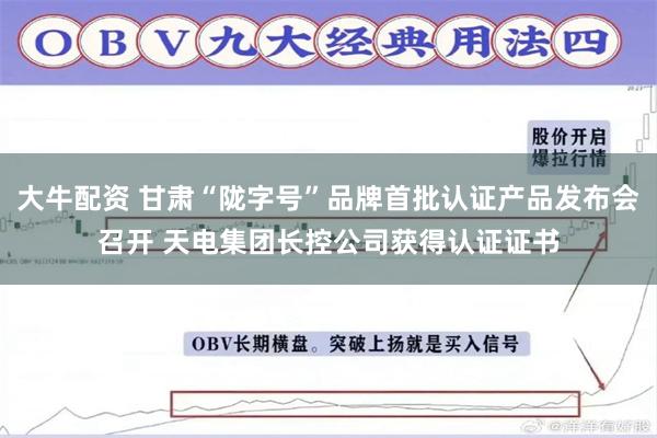 大牛配资 甘肃“陇字号”品牌首批认证产品发布会召开 天电集团长控公司获得认证证书