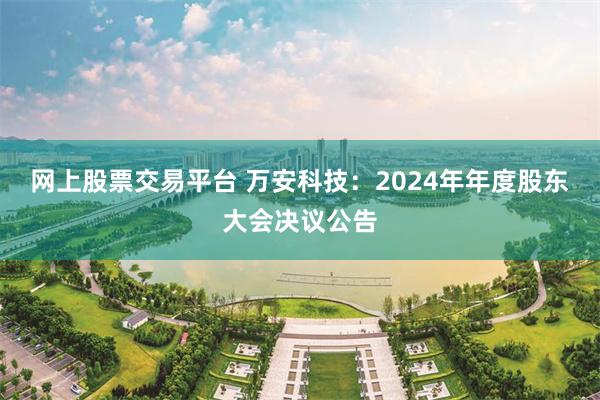 网上股票交易平台 万安科技：2024年年度股东大会决议公告