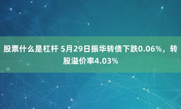 股票什么是杠杆 5月29日振华转债下跌0.06%，转股溢价率4.03%