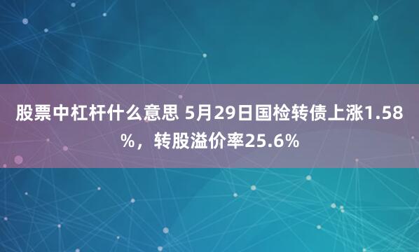股票中杠杆什么意思 5月29日国检转债上涨1.58%，转股溢价率25.6%