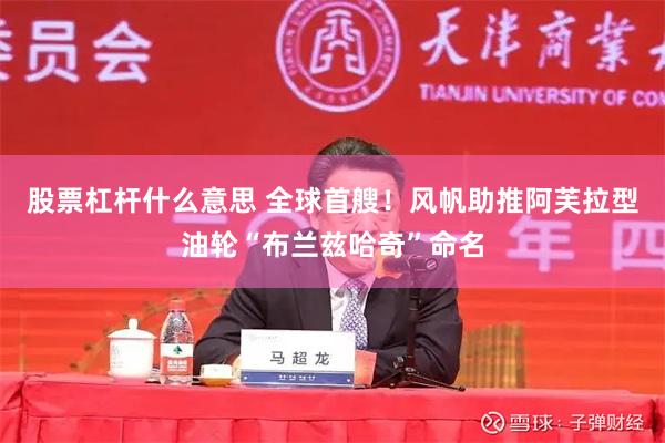 股票杠杆什么意思 全球首艘！风帆助推阿芙拉型油轮“布兰兹哈奇”命名