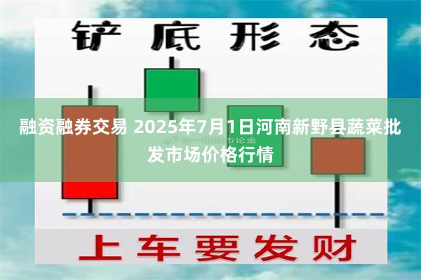 融资融券交易 2025年7月1日河南新野县蔬菜批发市场价格行情